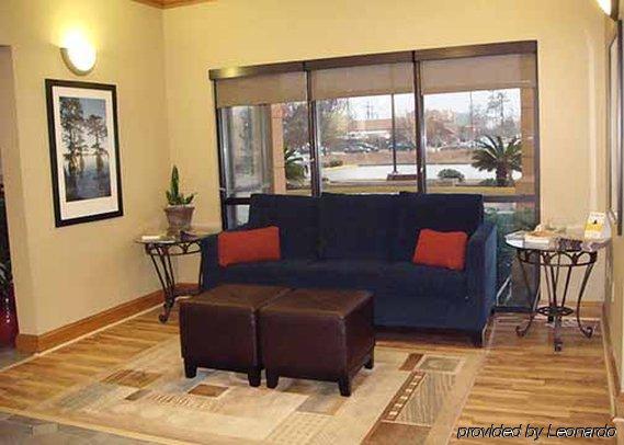 Comfort & - Mandeville Covington
